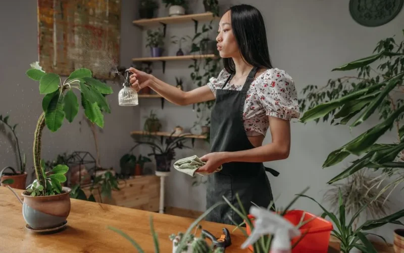 Woman in apron sprays potted plants indoors with care and focus.