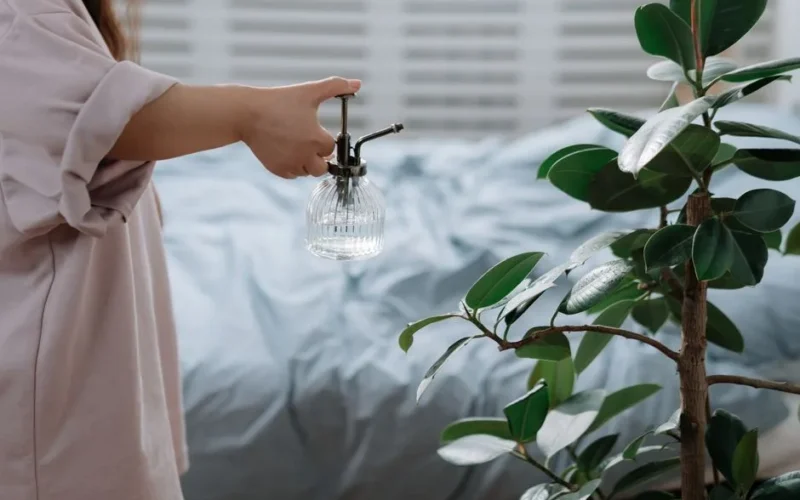 A woman sprays a decorative plant in a cozy bedroom with a glass misting bottle.