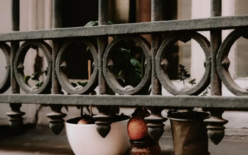 Stylish close-up of potted plants on a rustic balcony, framed by decorative railing.