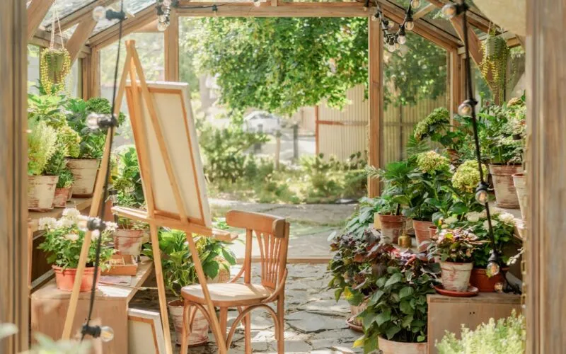Jak Pielęgnować Groch? 7 Sekretów Bujnych Plonów