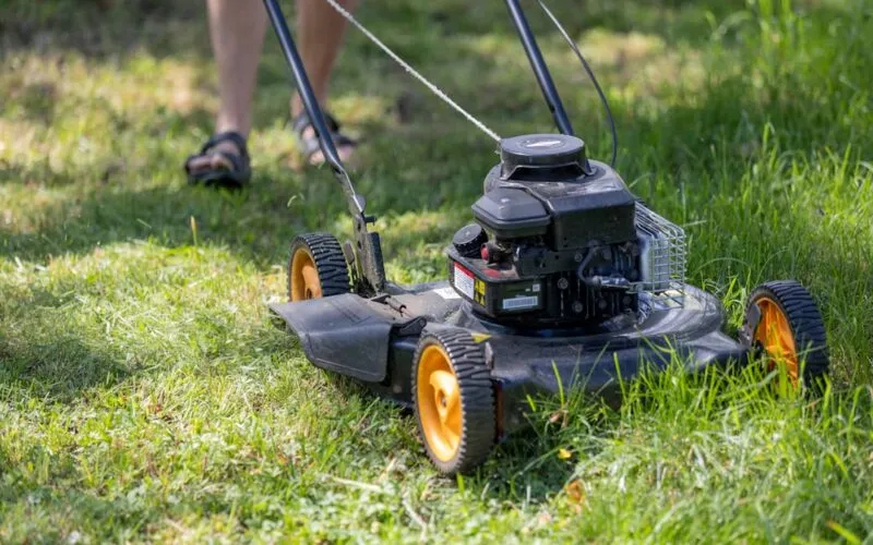 Jak wybrać idealną kosiarkę do dużego ogrodu – porównanie traktorów i robotów koszących 2026