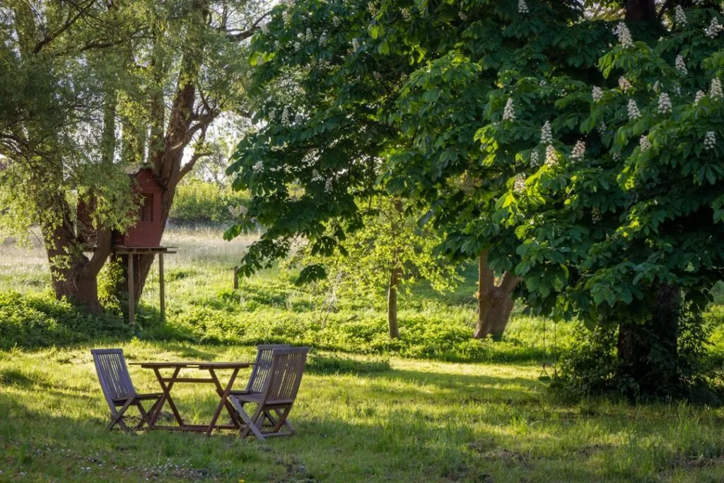 Permakultura w ogrodzie warzywnym – 5 zasad projektowania grządek bez kopania