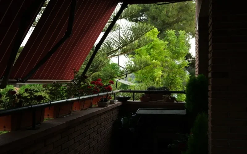 Jak ochronić rośliny balkonowe przed upałem? 7 skutecznych metod na balkon południowy