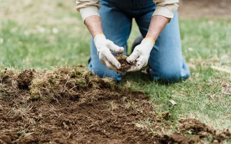 Crop unrecognizable gardener in casual clothes and gloves sitting on grassy ground while preparing soil for planting in garden