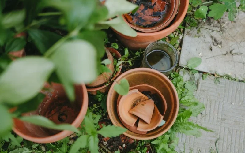 Uratuj pękniętą donicę ceramiczną - 5 domowych sposobów bez kleju