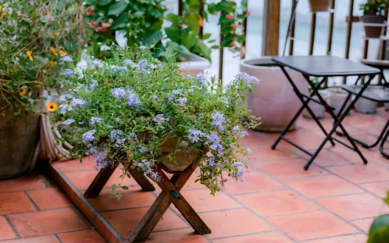 A cozy outdoor patio with lavender flowers on a wooden stand, perfect for relaxation.