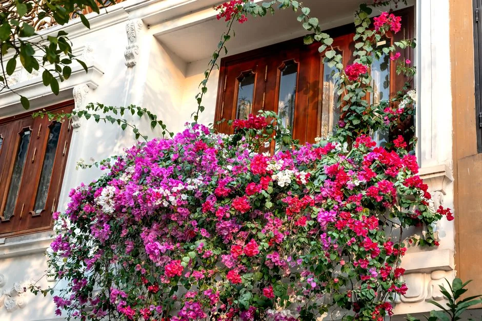 Romantyczny balkon w stylu angielskim - 10 roślin i dodatków