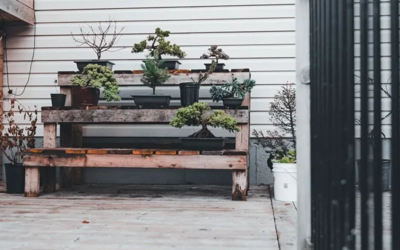 Balkon w stylu japońskim za grosze - 10 roślin i elementów zen