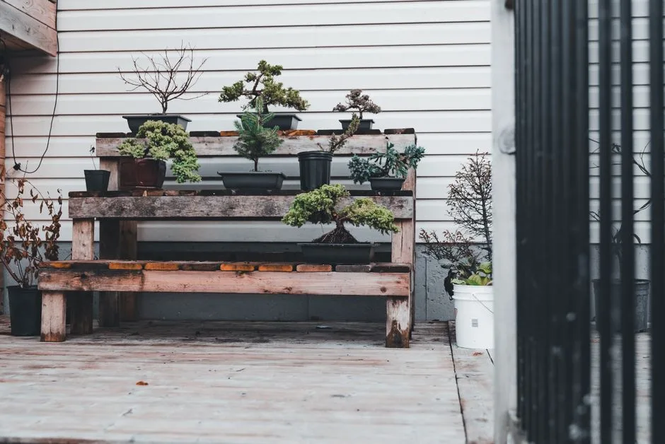 Balkon w stylu japońskim za grosze - 10 roślin i elementów zen