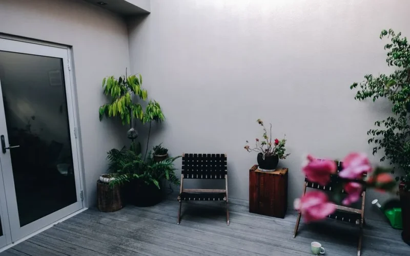 Comfortable chairs and small wooden table placed on house veranda decorated with various exotic potted plants in daylight