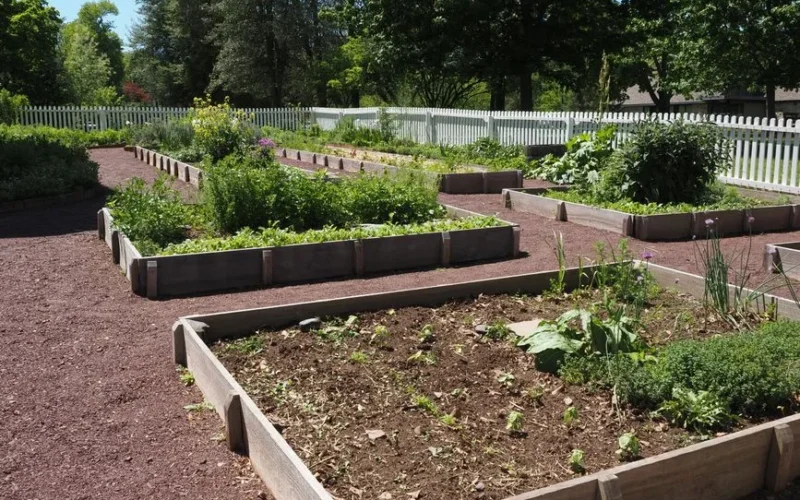Vibrant community garden with raised beds on a sunny day in Washington Crossing, Pennsylvania.