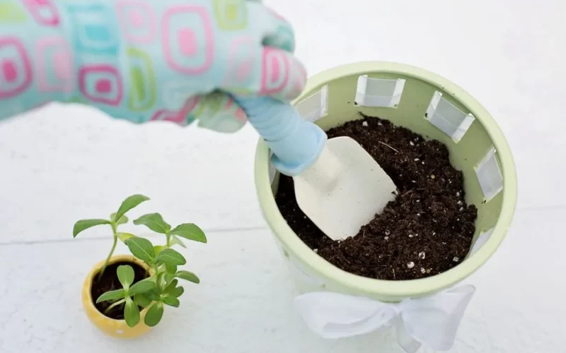 A gloved hand using a trowel to plant seedlings in a potting project.