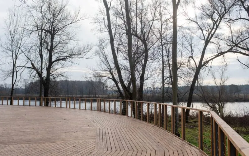 Jak zrobić drewniany taras krok po kroku? Instrukcja dla majsterkowiczów