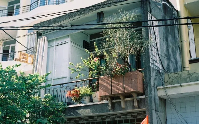 7 osłon na balkon, które ochronią rośliny przed wiatrem