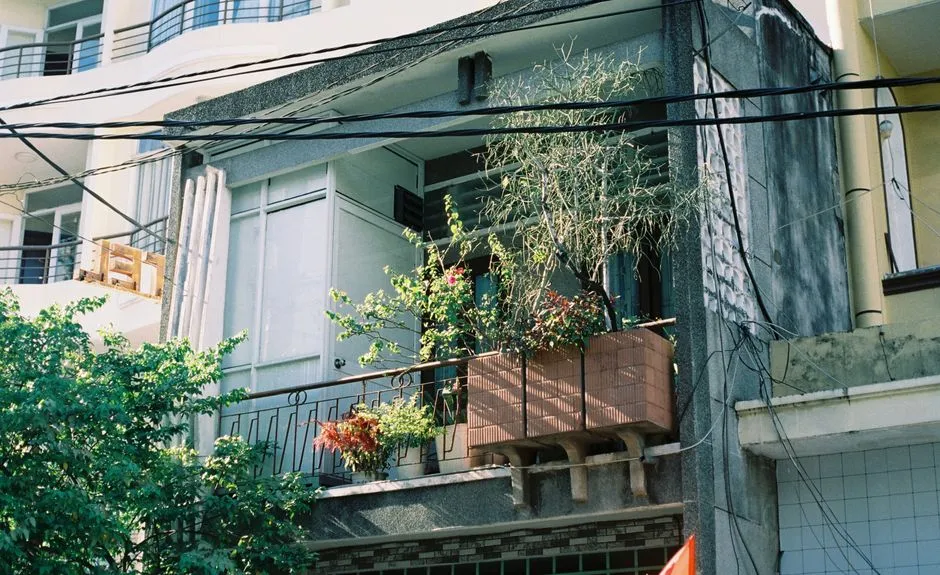 7 osłon na balkon, które ochronią rośliny przed wiatrem
