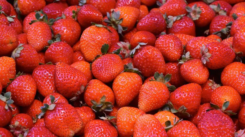 Truskawki Sadzenie 2026: Kompletny Poradnik Krok po Kroku