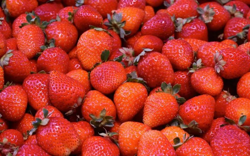 Truskawki Uprawa Krok po Kroku: Kompletny Poradnik dla Każdego