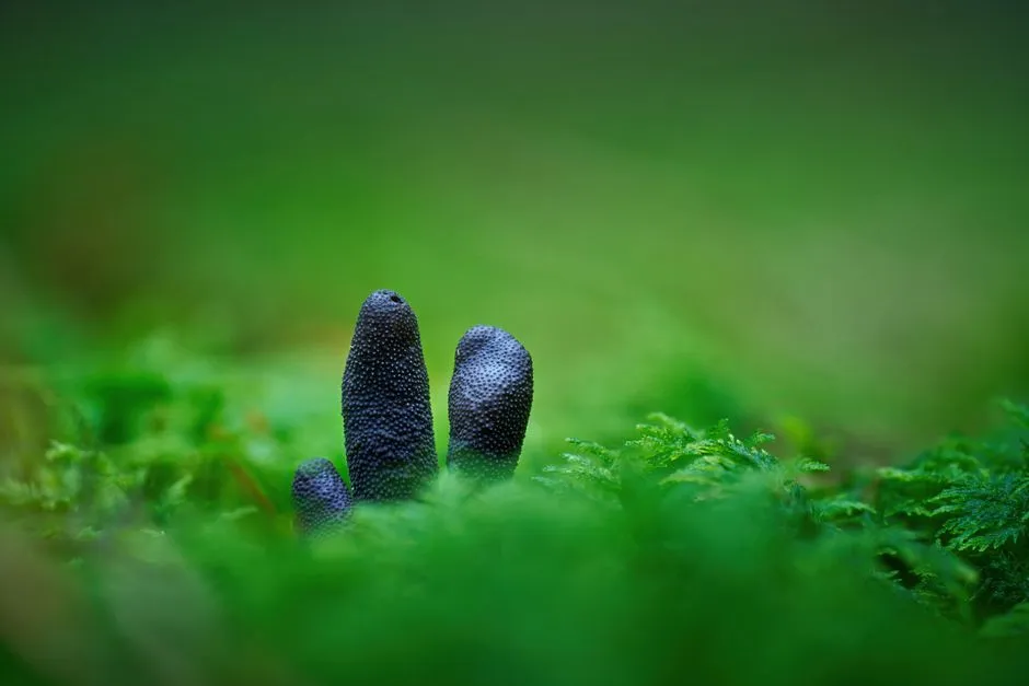 Jak Zrobić Slime z Kleju w Płynie? 3 Sprawdzone Przepisy Krok po Kroku
