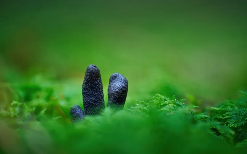 Z Jakiego Kleju Zrobić Slime? 5 Najlepszych Opcji dla Idealnej Konsystencji