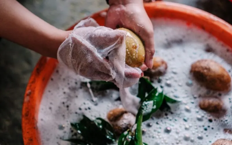 Ziemniaki Uprawa Krok po Kroku: Kompletny Poradnik dla Każdego Ogrodnika