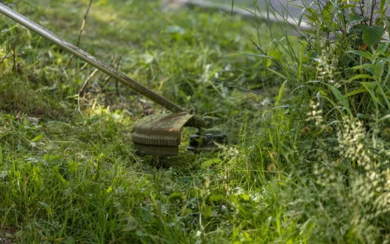 Jakie narzędzia do pielęgnacji trawnika na wiosnę? Kompletny przegląd i ranking