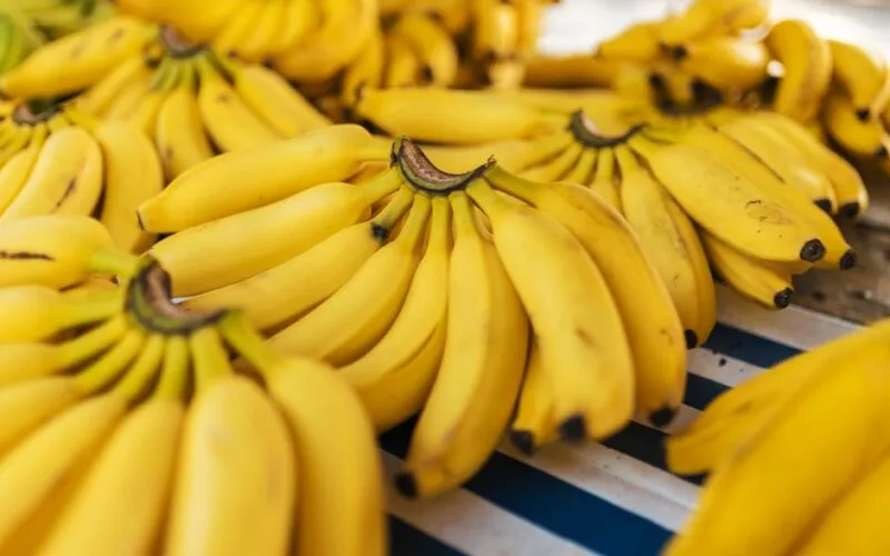 Jak zrobić domowy nawóz z bananów i skorupek jaj – 5 prostych przepisów