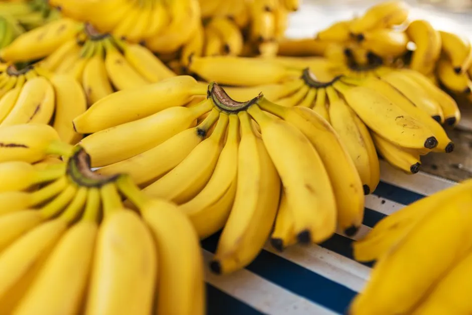 Jak zrobić domowy nawóz z bananów i skorupek jaj – 5 prostych przepisów