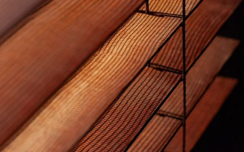 7 Roślin na Balkon Północny, Które Zakwitną Nawet Bez Słońca – Poradnik Eksperta