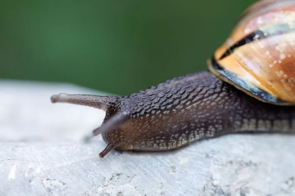 Jak zrobić slime z białego kleju? Prosty przepis krok po kroku!