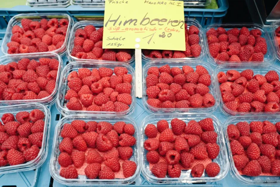 Jak Pielęgnować Maliny? 7 Praktycznych Zasad dla Słodkich Owoców