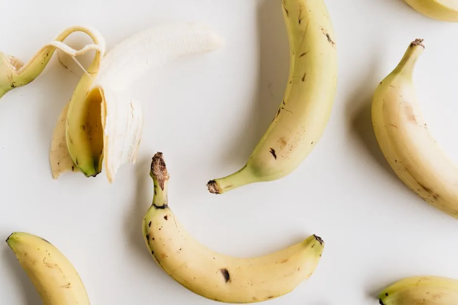 Jak zrobić domowy nawóz z bananów i skorupek jaj – 5 przepisów na naturalne wzmocnienie roślin balkonowych