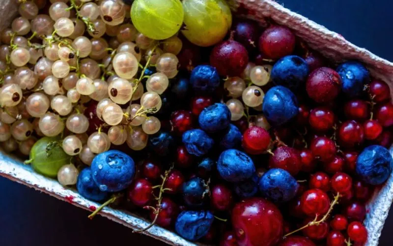 Porzeczki w ogrodzie: 7 Sekretów Obfitych Plonów i Pielęgnacji