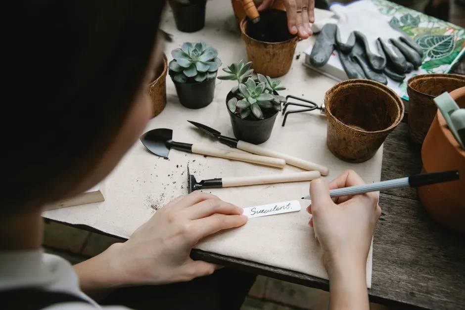 Jak projektować ogród dla początkujących krok po kroku? Plan od A do Z
