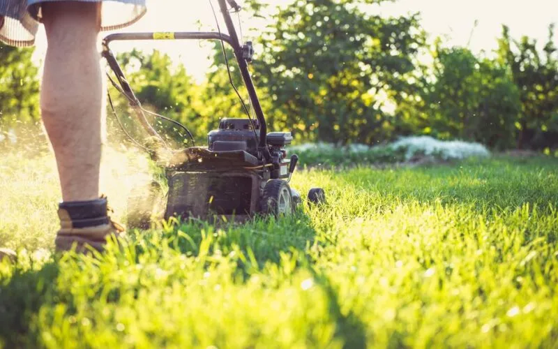 Jak wybrać idealną kosiarkę do swojego ogrodu? Porównanie typów i funkcji