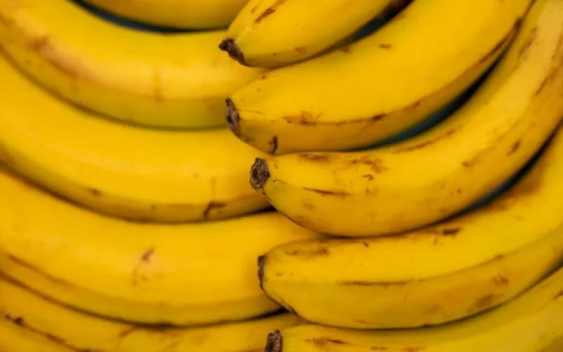 Jak zrobić domowy nawóz z bananów i skorupek jaj do roślin balkonowych? 5 prostych przepisów