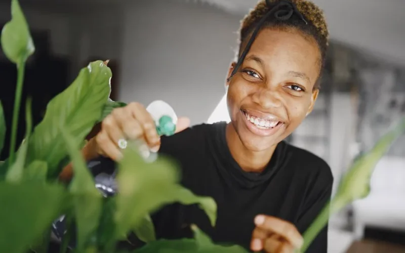 Cheerful woman with afro hair watering indoor green plants, enjoying home gardening.