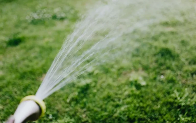 A garden hose sprays water onto a lush green lawn on a sunny day.