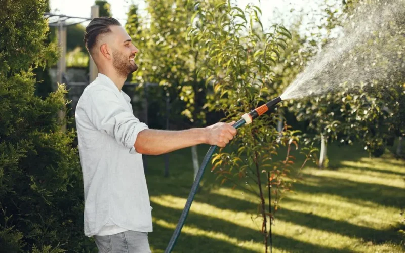 Smiling man in a white shirt watering plants in a lush green garden. Bright and clear day.