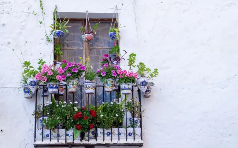 Vibrant flower pots decorate a balcony in Jávea, Spain, showcasing Spanish ceramic artistry.
