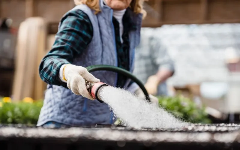 Crop anonymous female gardener with hose watering planted seeds in containers while working in garden with plants on blurred background