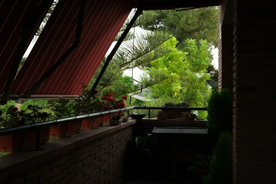 Balkon Pełen Warzyw: 10 Najlepszych Odmian do Uprawy w Cieniu
