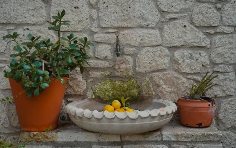 A rustic outdoor scene featuring potted plants and citrus fruits on a stone wall fountain.