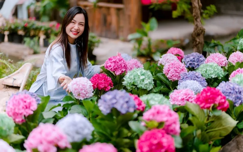 Woman smiling surrounded by colorful hydrangeas in a garden, capturing joy and natural beauty.