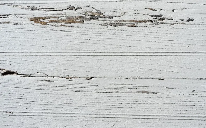 Close-up of peeling white paint on a wooden surface, showcasing natural texture.