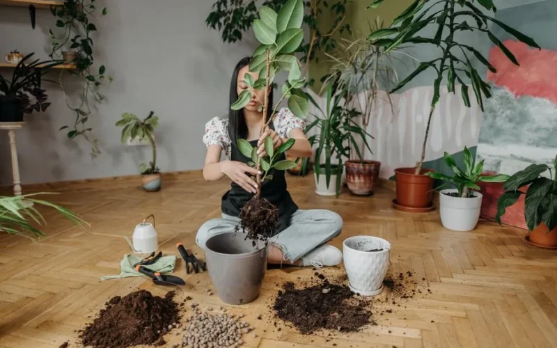 A woman carefully repotting a plant indoors surrounded by various greenery and gardening tools.