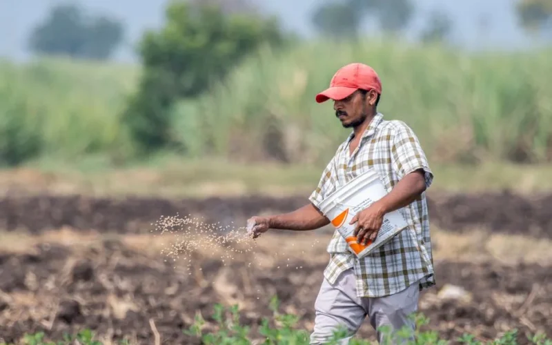A farmer in Pune, India, sowing seeds in a sunlit agricultural field.