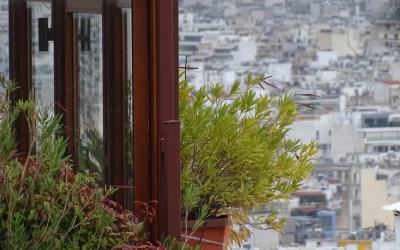A cityscape with a close-up of a balcony, window, and lush potted plants.