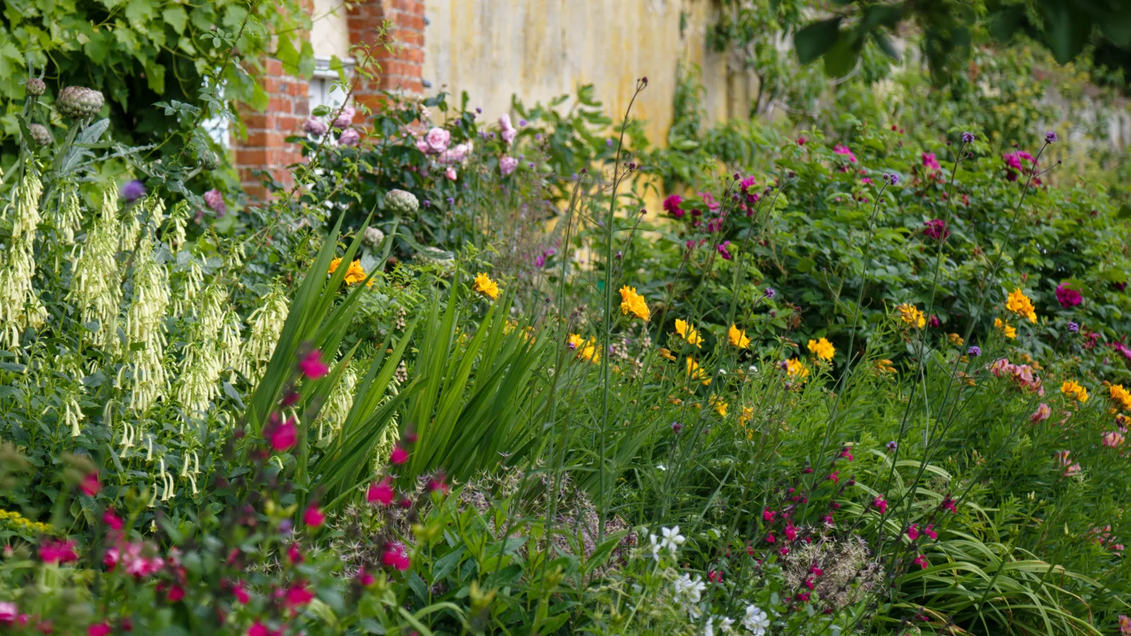 Walled Garden plant and flower border during the 14 June 2026 Open Day in the Gardens of Easton Lodge, a 1947 demolished house with estate at Little Easton, Essex, England.Easton Lodge was built by Henry Maynard in 1597. A later-built house, with gardens designed by Harold Peto, was occupied by champagne socialist and socialite Frances Evelyn Maynard (1861-1938), Countess of Warwick, who was born at Easton Lodge and lived there her whole life.To see the most relevant allied photos, click on Easton Lodge Gardens, Gardens in Essex, and this uploader's Gardens photos. For category links to related images, go to the very bottom of the page.Camera: Canon EOS 6D Mark II with Canon EF 24-105mm F4L IS USM lens.Softwareː DxO PhotoLab 9 Elite.